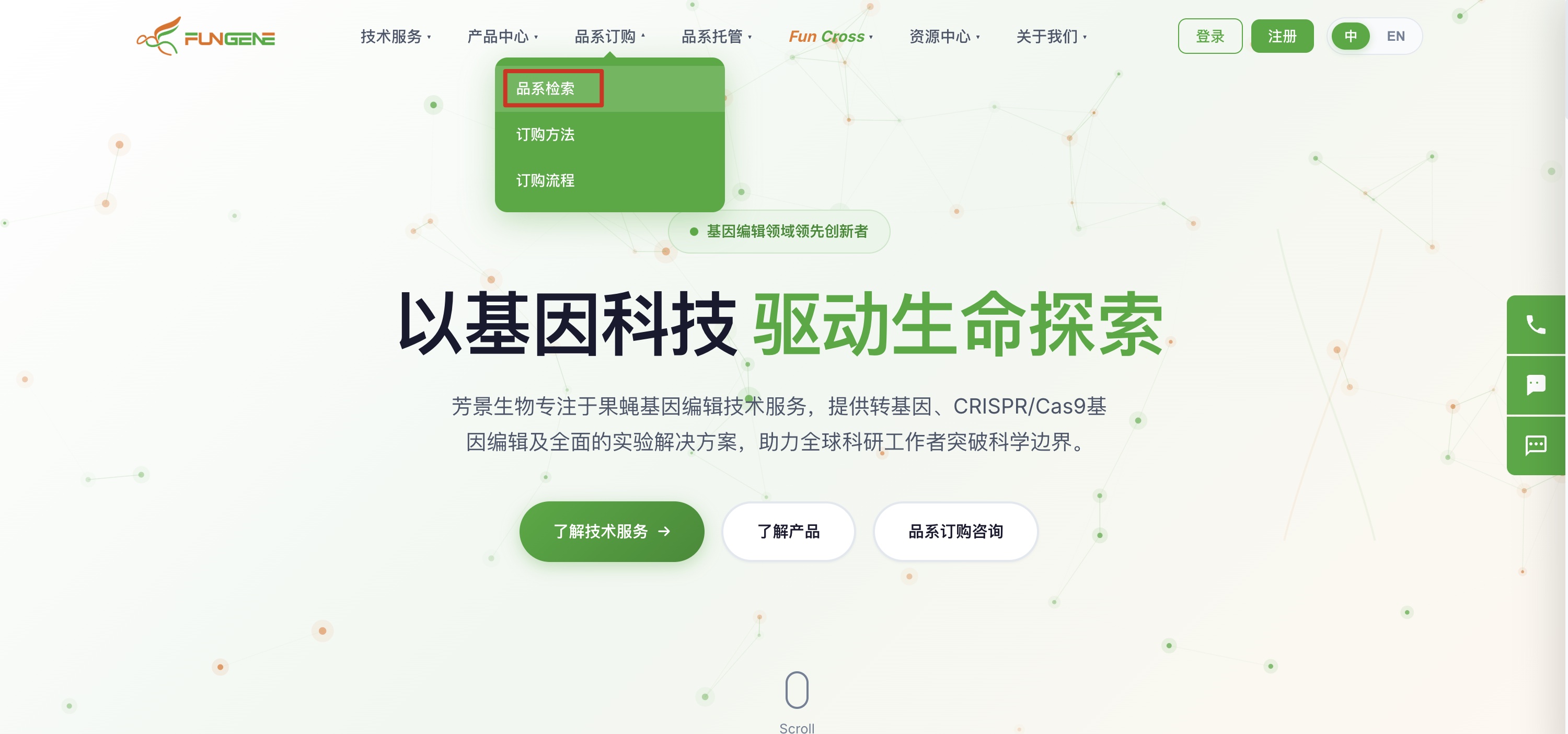 品系检索页 - 顶部搜索与分类筛选