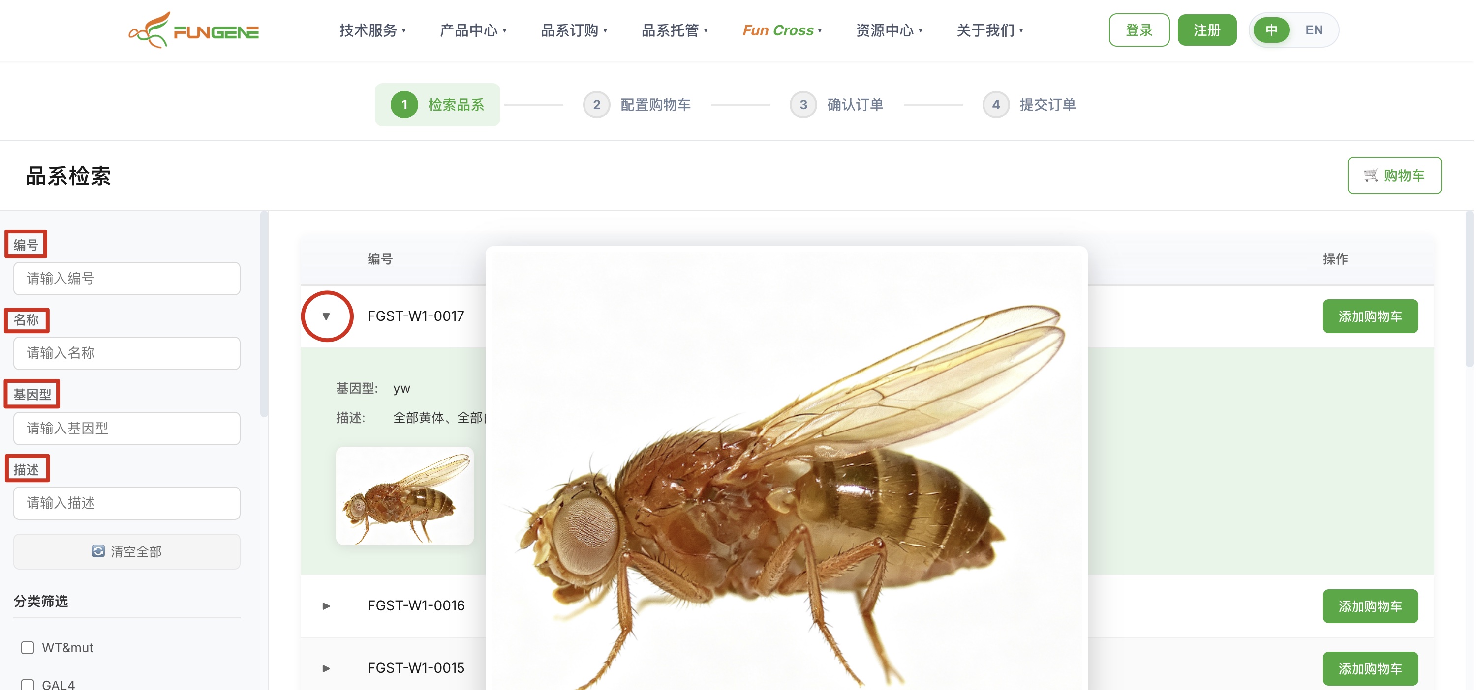 品系检索页 - 搜索结果列表