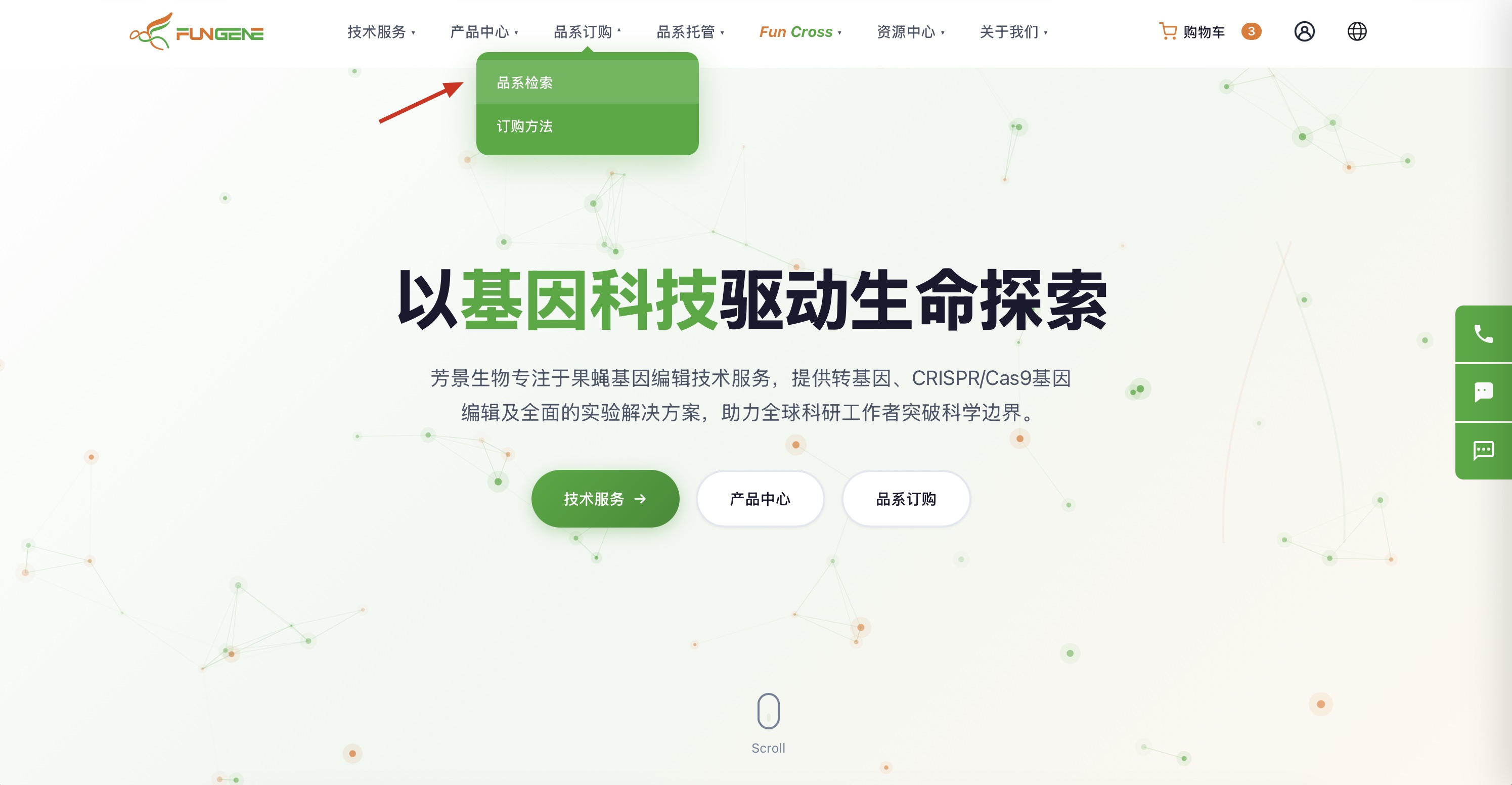 品系检索页 - 顶部搜索与分类筛选