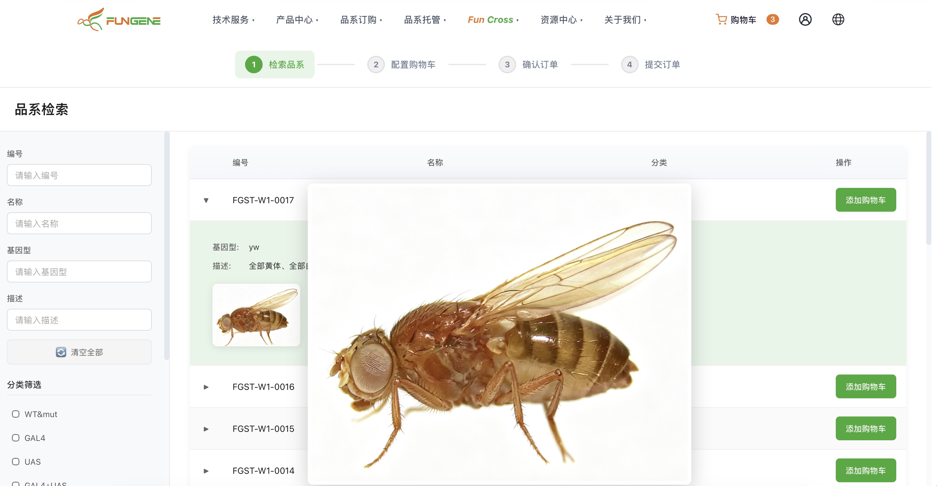 品系检索页 - 搜索结果列表