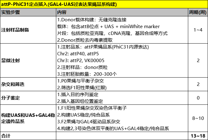 Tubp-GAL4 Tubp-GAL80ts 全身温控方案