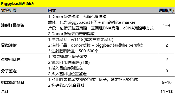 PiggyBac 技术示意图