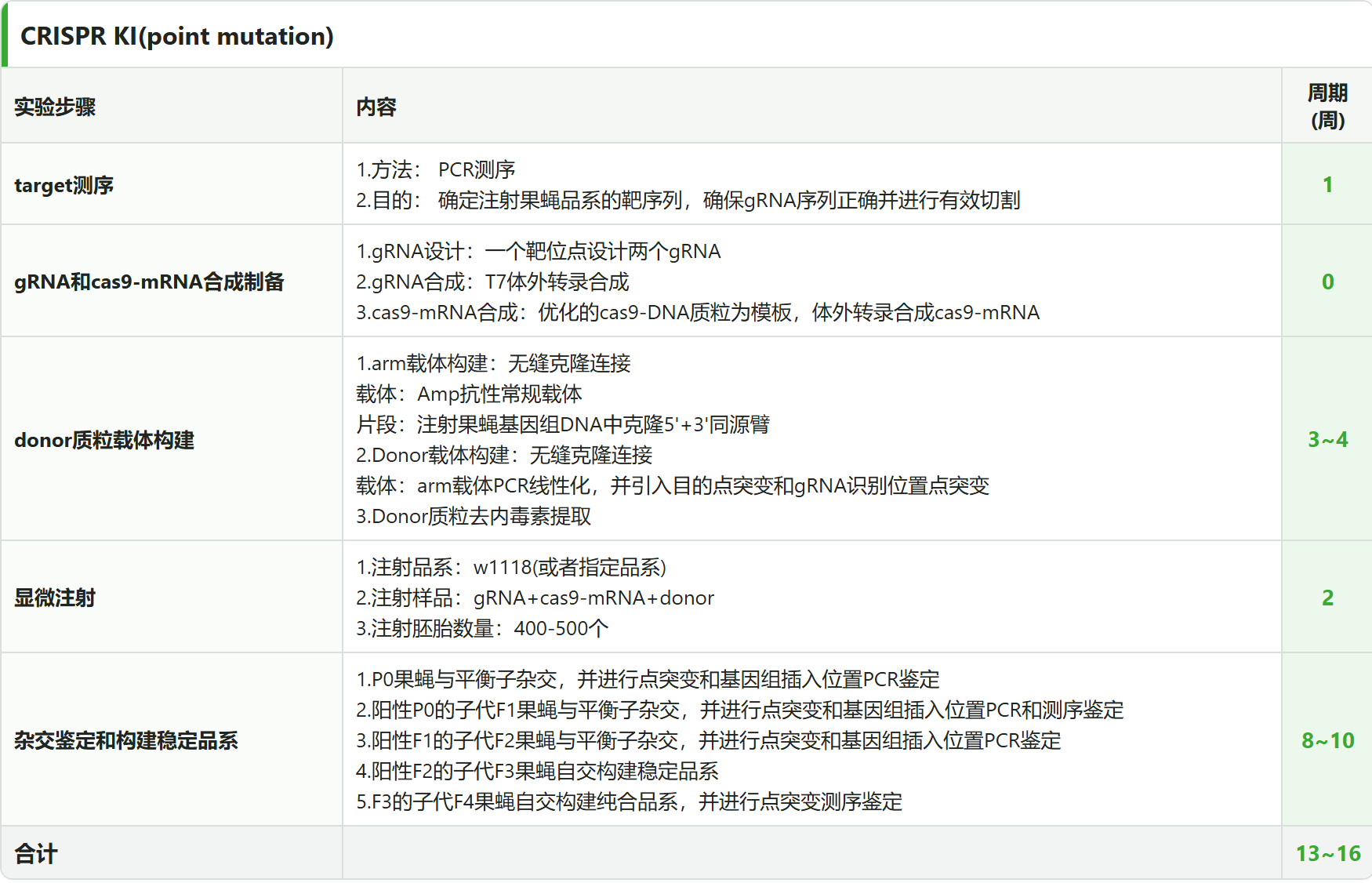 CRISPR Point Mutation 6 阶段流程表：target 测序 → gRNA 和 cas9-mRNA 合成制备 → donor 质粒载体构建 → 显微注射 → 杂交鉴定和构建稳定品系，合计 13~16 周