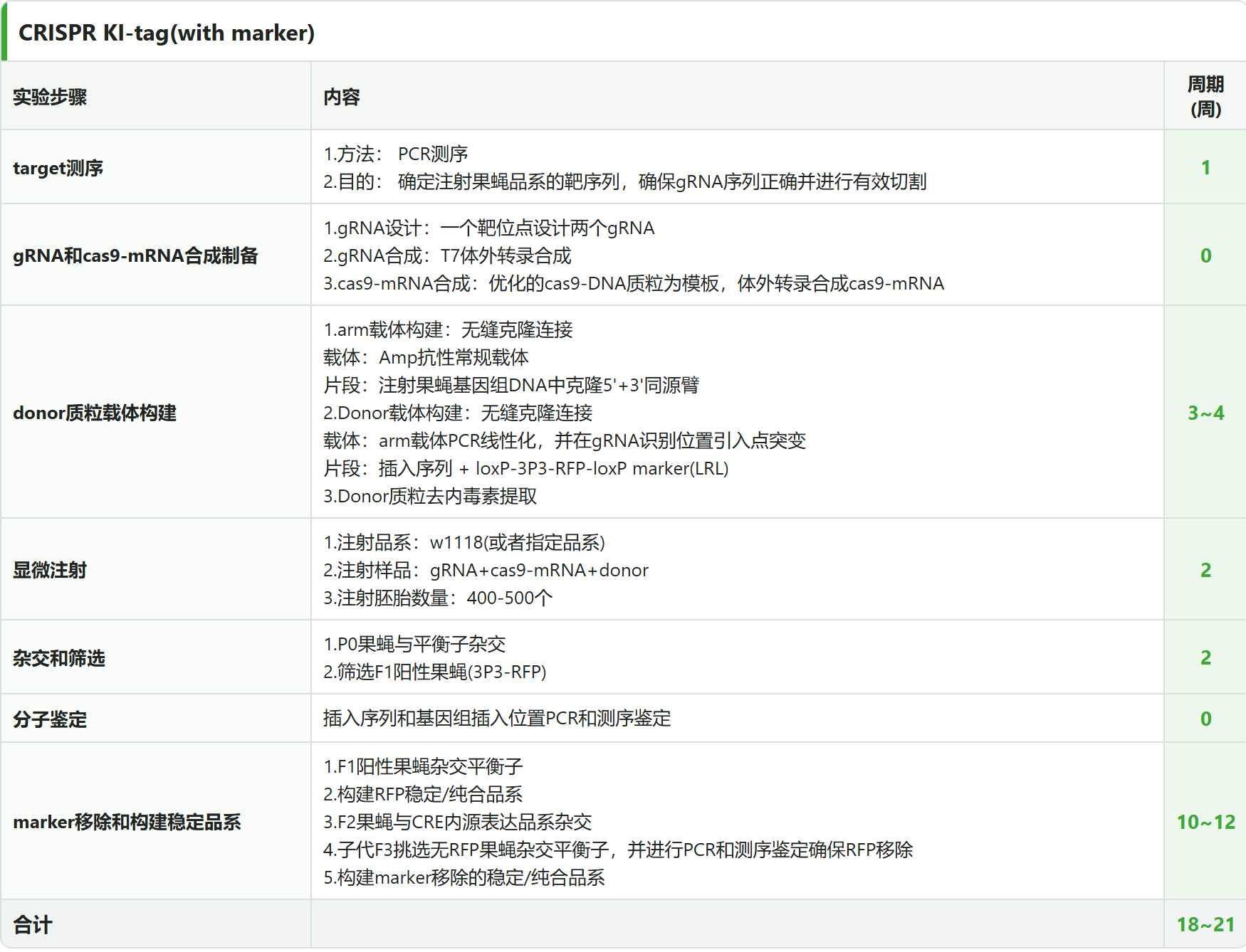 CRISPR KI Tag 有筛选标记 6 阶段流程表，含 marker 去除与复核阶段