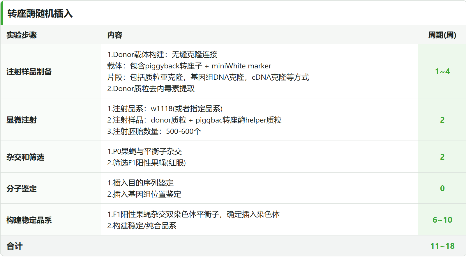 PiggyBac 随机插入 6 阶段标准流程表：注射样品制备 → 显微注射 → 杂交和筛选 → 分子鉴定 → 构建稳定品系，合计 11~18 周
