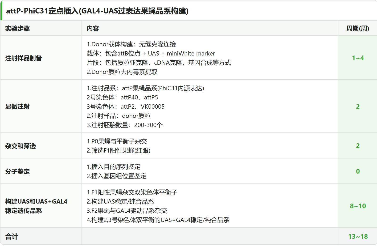 UAS-GAL4 过表达品系构建 5 阶段标准流程表：注射样品制备 → 显微注射 → 杂交和筛选 → 分子鉴定 → 构建 UAS 和 UAS+GAL4 稳定遗传品系，合计 13~18 周